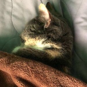 Meet your Posher, Omar